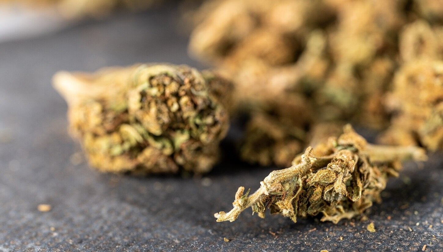 Dolde einer Cannabispflanze